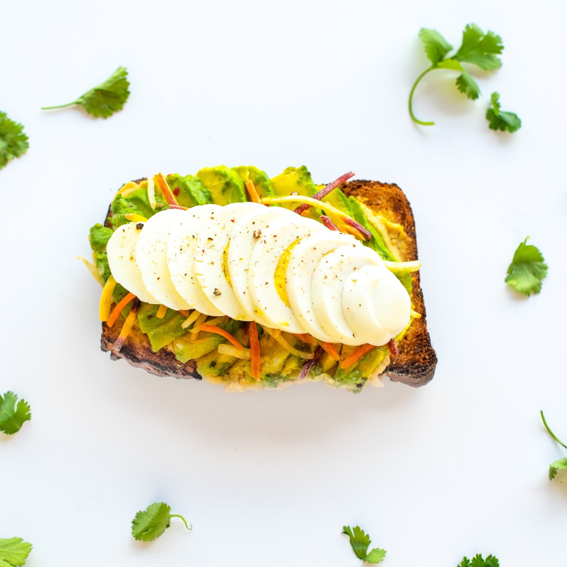 Signature Avocado Favorites